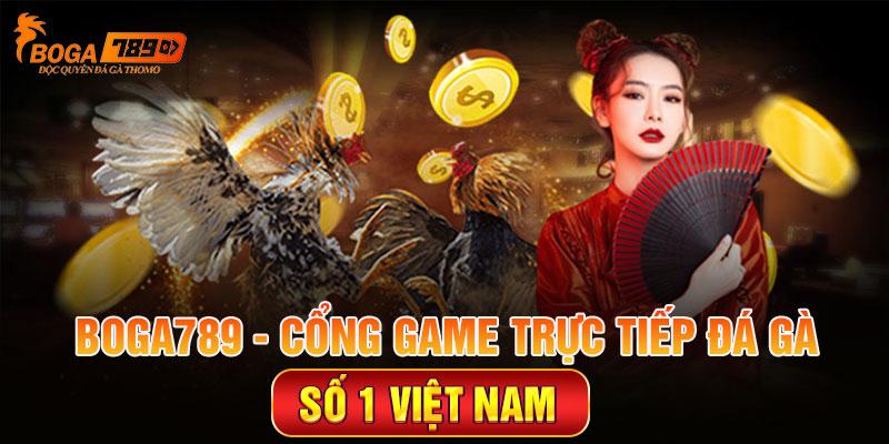 Boga789 Cổng Game Trực Tiếp Đá Gà Số 1 Việt Nam