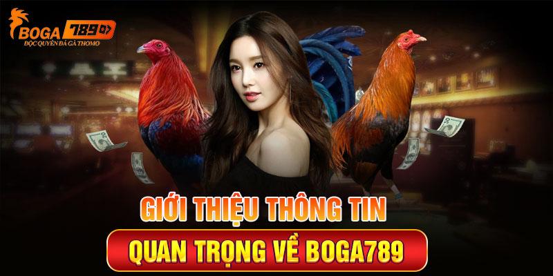 Giới thiệu thông tin quan trọng về Boga789