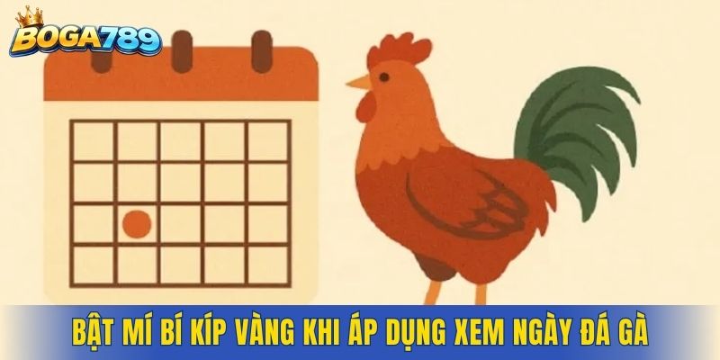 Bật mí bí kíp vàng khi áp dụng xem ngày đá gà