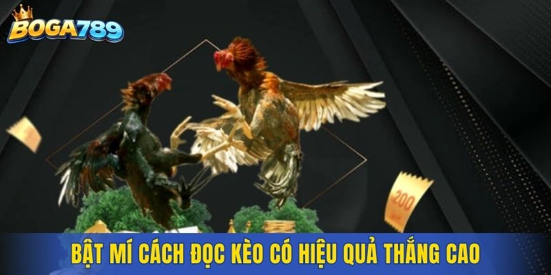 Bật mí cách đọc kèo có hiệu quả thắng cao