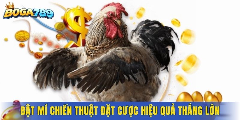 Bật mí chiến thuật đặt cược hiệu quả thắng lớn