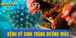 bệnh ký sinh trùng đường máu