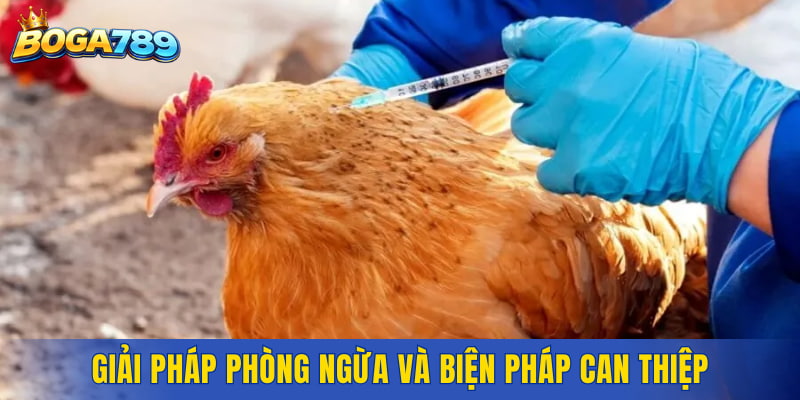 Giải pháp phòng ngừa và biện pháp can thiệp giúp cải thiện tình trạng bệnh