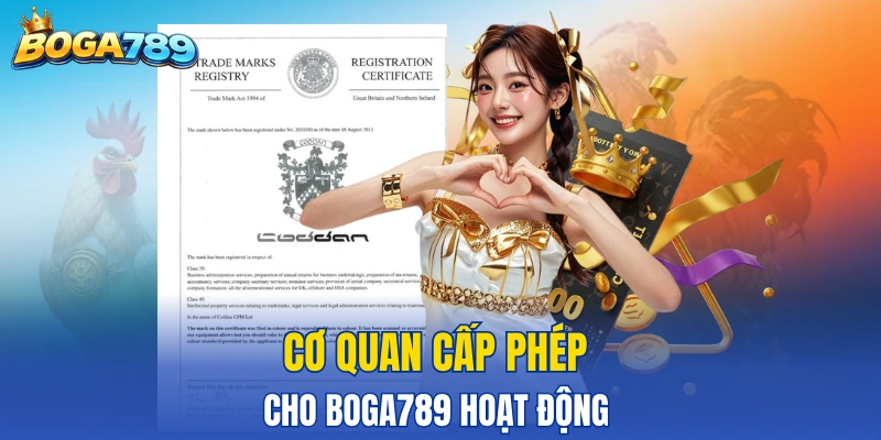 Cơ quan nào hiện đang cấp hoạt động cho nhà cái