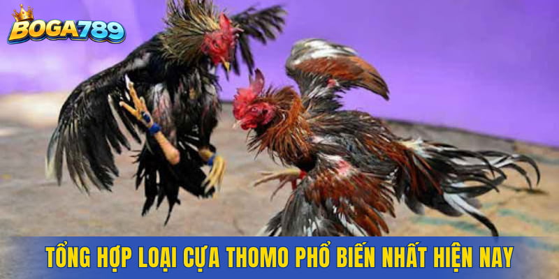 Tổng hợp loại cựa Thomo phổ biến nhất hiện nay