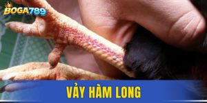 Vảy Hàm Long