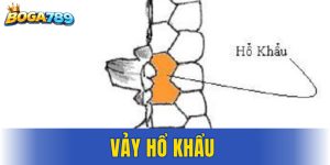 vảy Hổ Khẩu