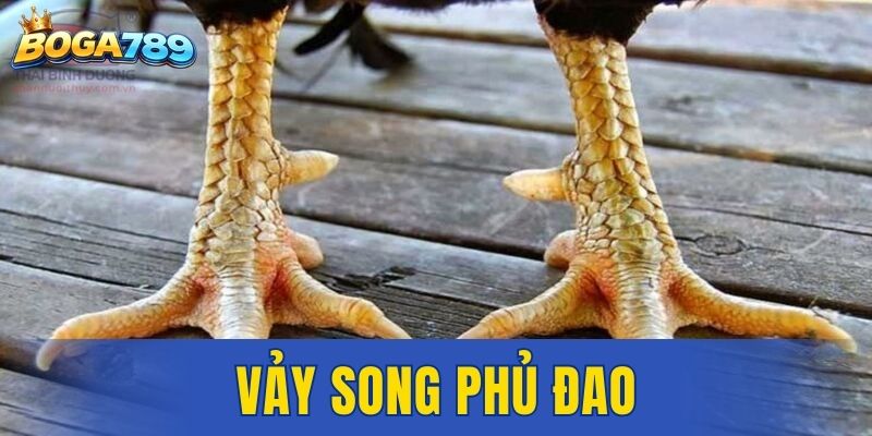vảy song phủ đao