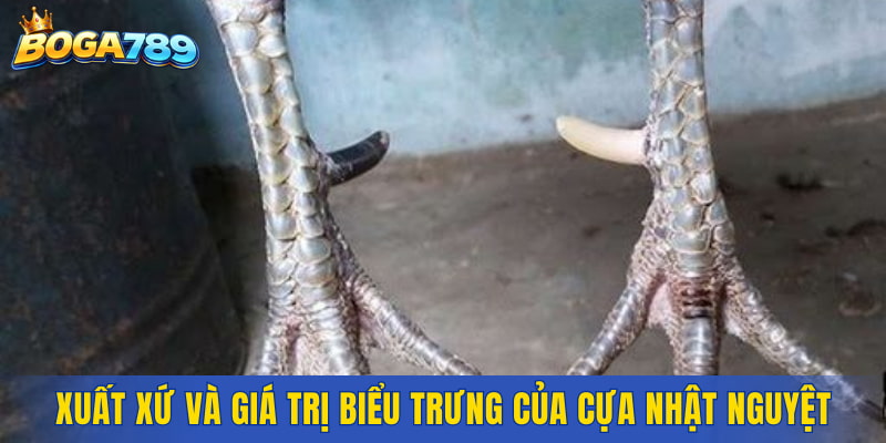 Xuất xứ và giá trị biểu trưng của cựa Nhật Nguyệt