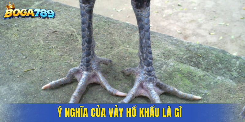 Ý nghĩa của vảy Hổ Khẩu là gì